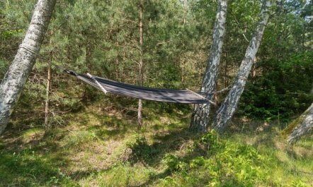 'Eirik' - 700m from the sea 4