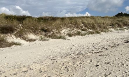 'Eirik' - 700m from the sea 3