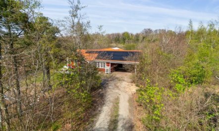 'Tarje' - 320m from the sea 1