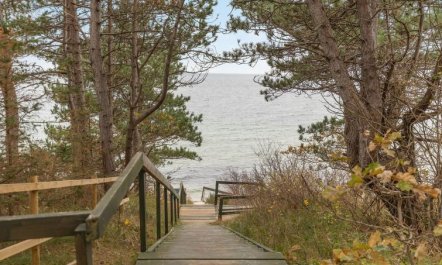 'Haiko' - 250m from the sea 4