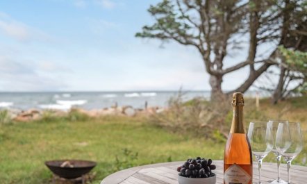 'Pascal' - 25m from the sea 2