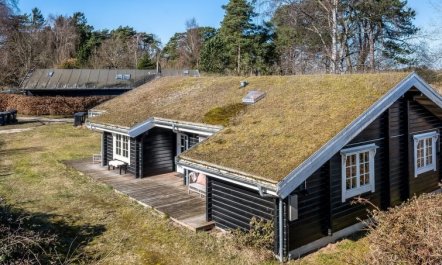 'Franka' -  from the sea 4