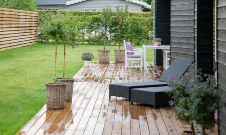 'Dorthie' - 800m from the sea 4