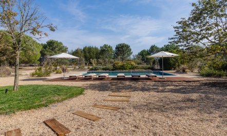 In Nature's Embrace 1