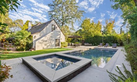 In the Shadows of Palms