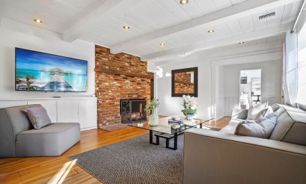 In the Shadows of Palms 6