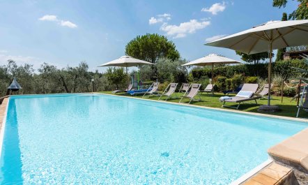 Tuscan Golden Hills 1