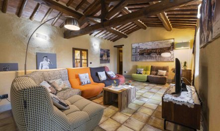 Tuscan Golden Hills 7