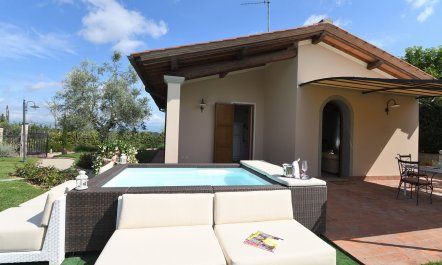 The Medici Dynasty 1