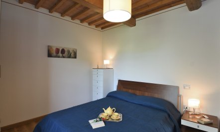 The Medici Dynasty 8