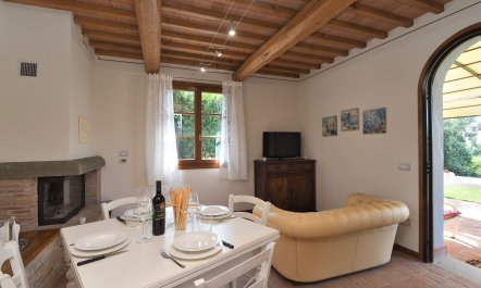 The Medici Dynasty 3