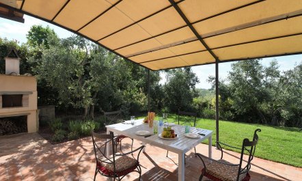 The Medici Dynasty 2