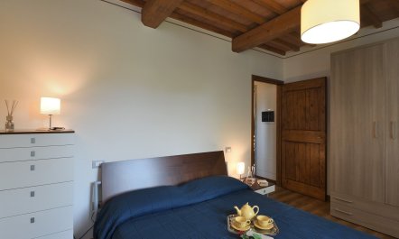 The Medici Dynasty 9