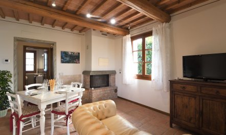 The Medici Dynasty 4