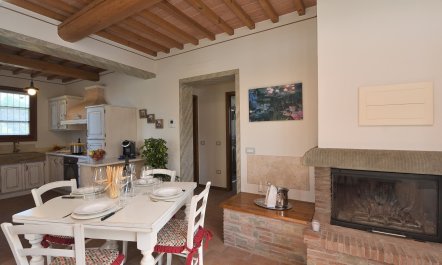 The Medici Dynasty 5