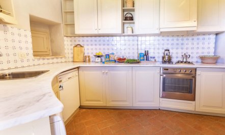 Vineyards & Lavenders 4