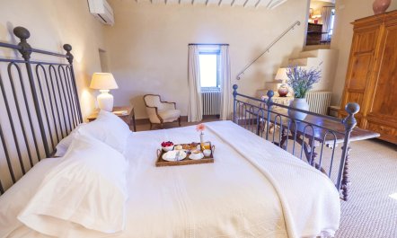 Vineyards & Lavenders 7