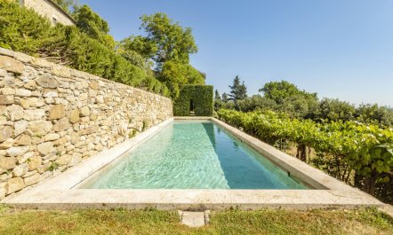 Vineyards & Lavenders 1