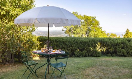 Vineyards & Lavenders 9