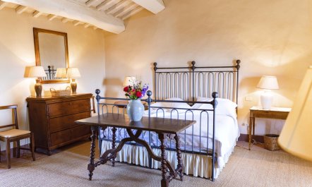 Vineyards & Lavenders 5