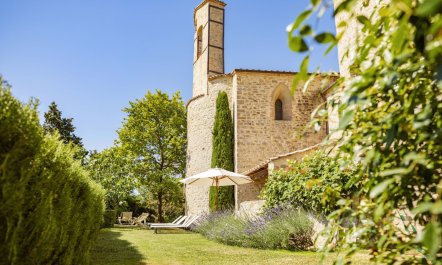 Vineyards & Lavenders