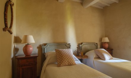 Vineyards & Lavenders 8