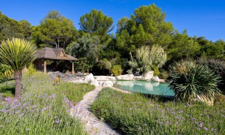 Golden Coastline Retreat 4