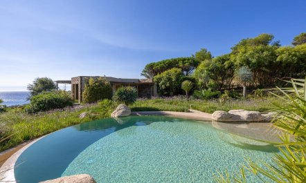 Golden Coastline Retreat 2