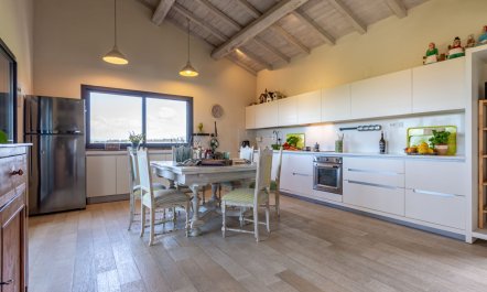 The Peaceful Coast 5