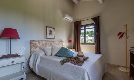 The Peaceful Coast 9