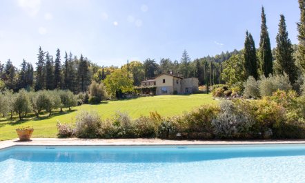 Painted Stone Retreat 2