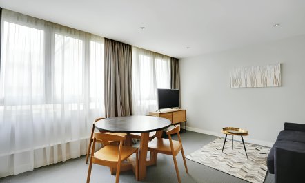 Parisian Dandelions 3