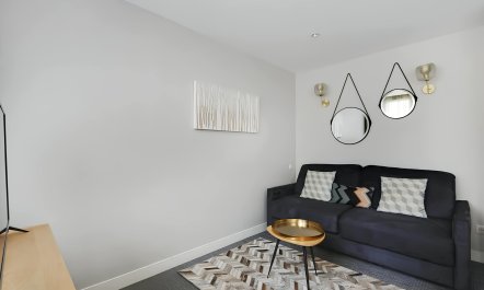 Parisian Dandelions 2