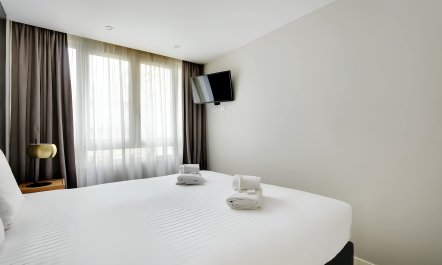 Parisian Dandelions 3