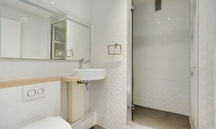 Parisian Dandelions 4