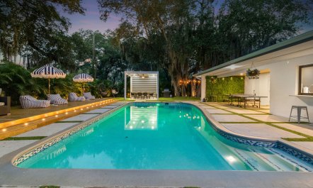 Palm Tree Playhouse 2