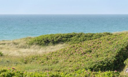 'Heidine' - 176m from the sea 2