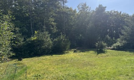 'Karmen' - 1km from the sea 1