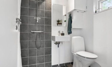 'Andy' - 150m from the sea 4