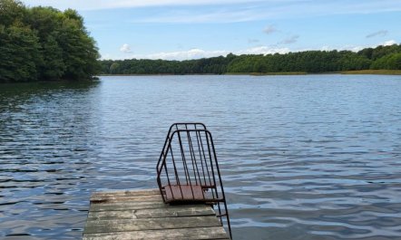 Terrassenwohnung am See 3