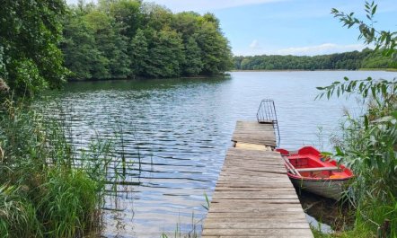 Terrassenwohnung am See 4