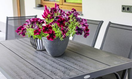 Jagerstüberl-60qm EG mit gr Terrasse 4