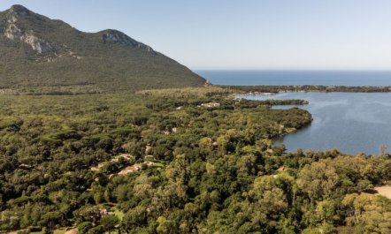 La casina nel bosco 4