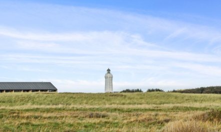 'Simona' - 300m from the sea 7