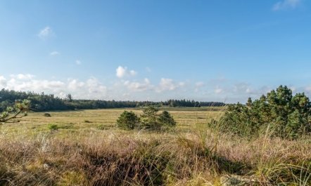 'Anneka' - 750m from the sea 2