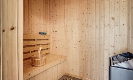 'Elviira' - 350m from the sea 7