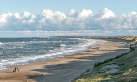 'Marissa' - 200m from the sea 4