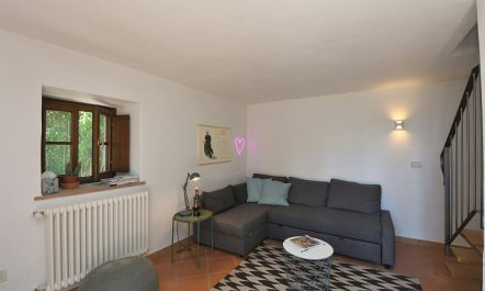 Into the Tuscan Wild 9