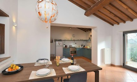 Into the Tuscan Wild 5