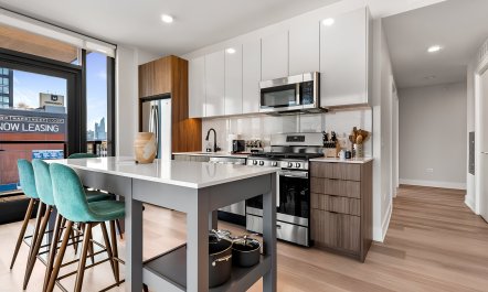 The Chi-town Charm 5